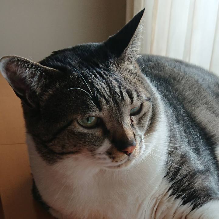 8ac0a1a9 a438 461c af02 a210fdba9e42 1527219788449