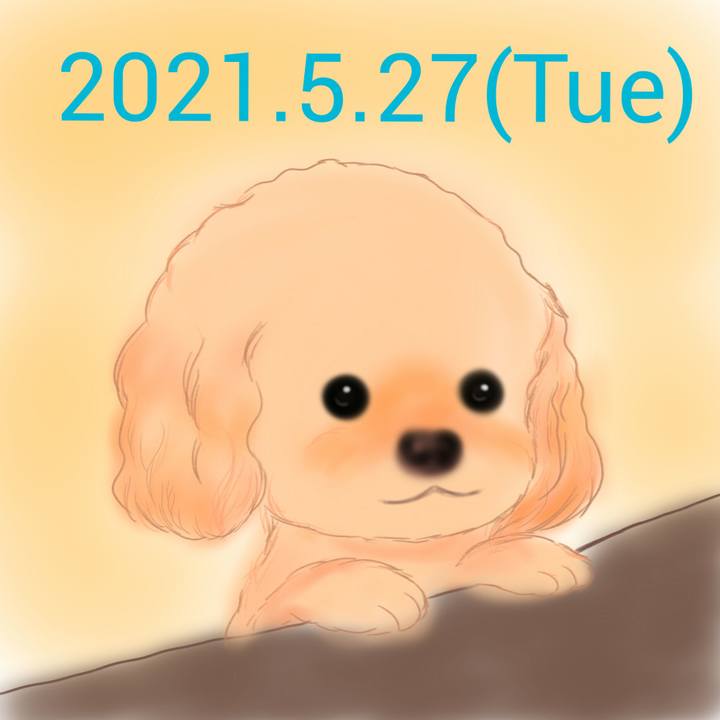 8ac119a5 097b 44ea bfad 901ba0344741 1622117584781