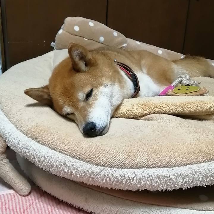 8ac15e18 5ed6 431a b9b2 179fc1e782a3 1688221875195