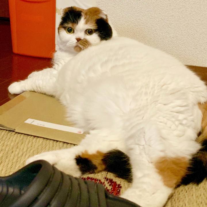 8ac17b26 dcd2 42f0 8c27 8cf29c8e285a 1567200925339