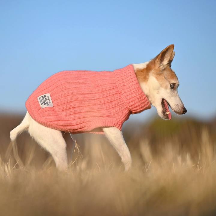 8ac18641 9277 40dc 97b5 4baaa8075aa9 1768661044911