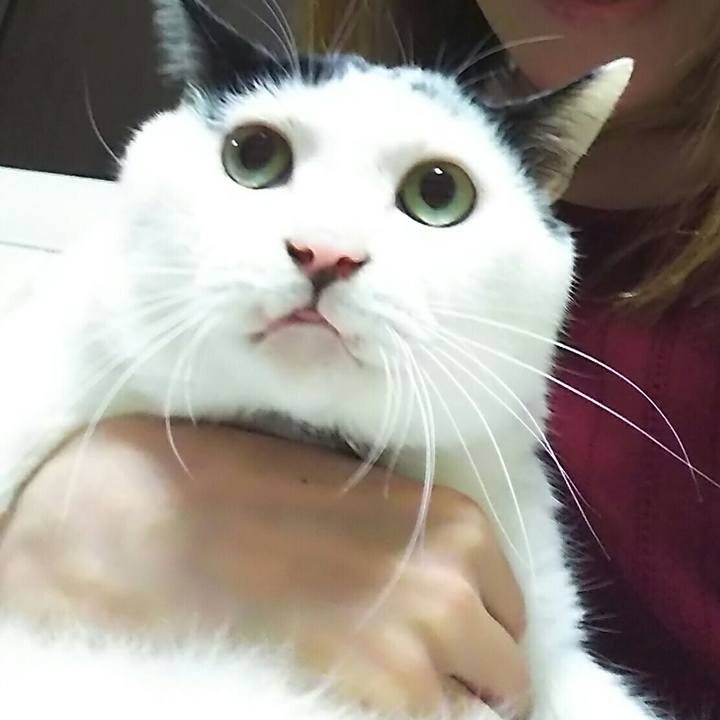 8ac192c1 230f 4655 abde 29f6b2b726c5 1540476423921