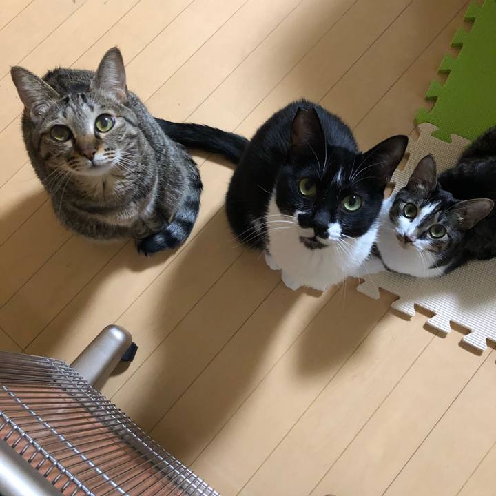 8ac1c316 fe6a 4228 8f9a 47701ea69494 1550235821459