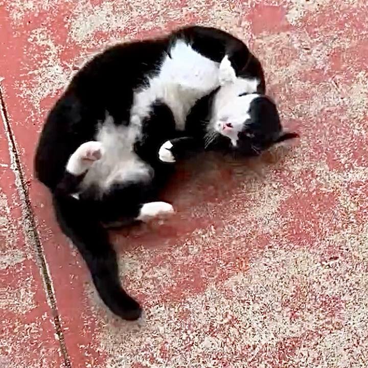 8ac1e2cf 62f7 49c3 8d72 5e8572b6cf26 1736768906733