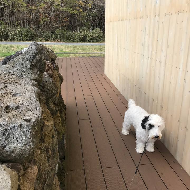 8ac20134 b525 4b18 804f 0503055beb33 1509788791718