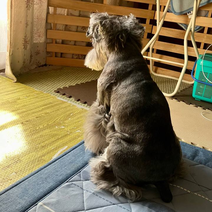 8ac2065c db1c 421a 9f58 f943d39d299a 1724385074266