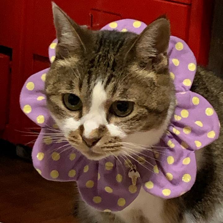 8ac21db3 e812 4673 848f 7eb85644e56d 1660720992096