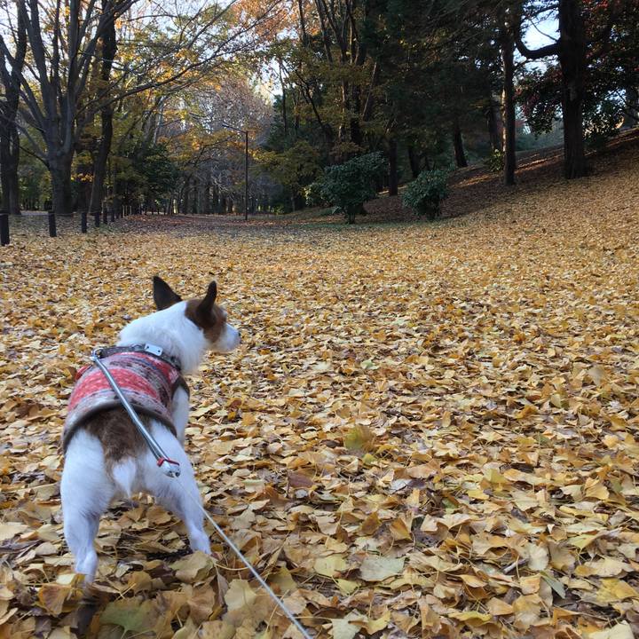 8ac2940b f9df 4aee 84d6 df5bdda700e0 1607643030340