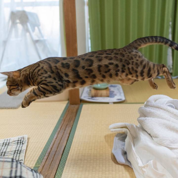 8ac29579 2769 45de 88b5 c7a611b081e7 1530796796189