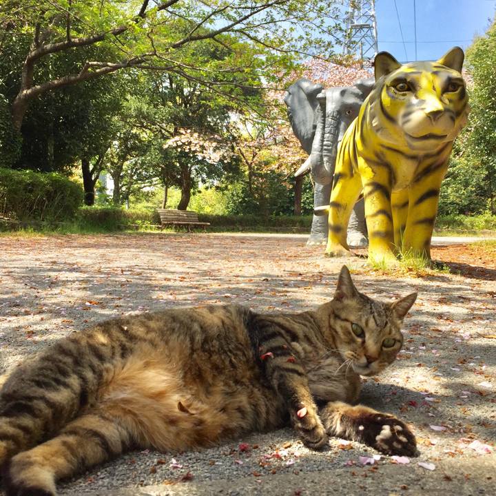 8ac2a8b3 9e53 43fe 8c5c 3a160507bc3f 1555660023114