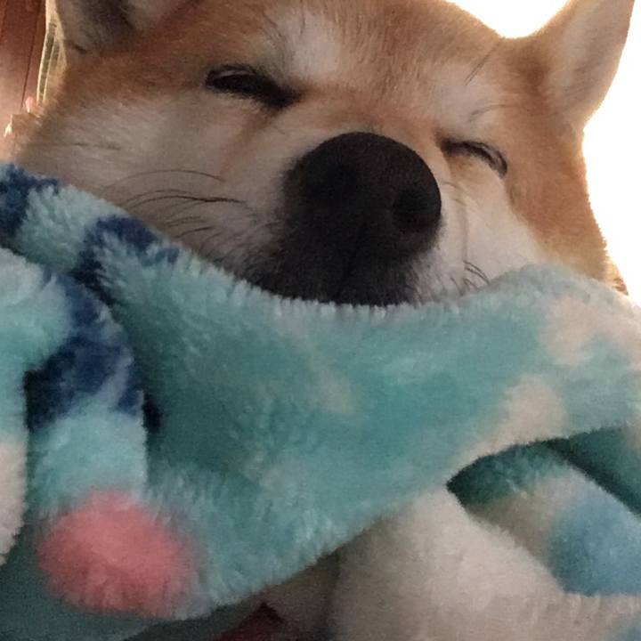 8ac2ffb4 191e 4f11 a6a0 1f7ce8662713 1576722898247