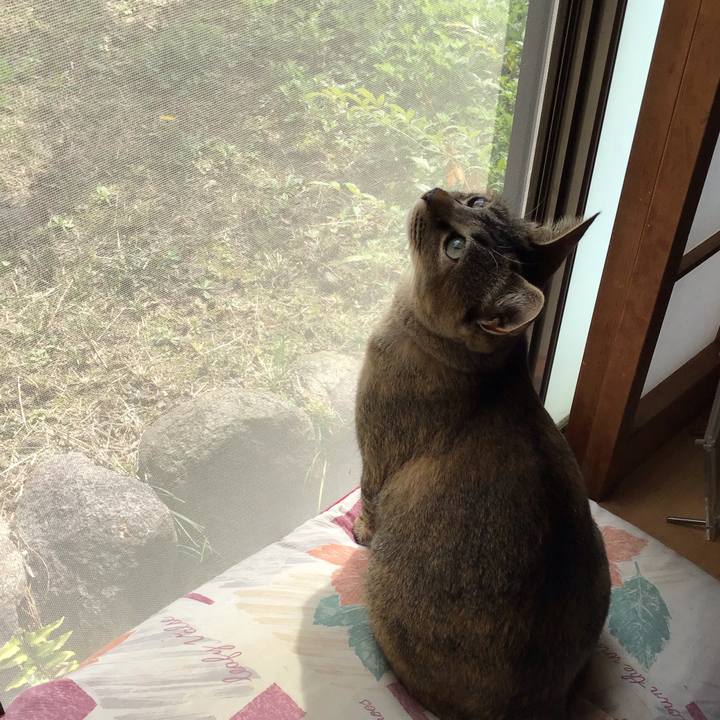 8ac32060 53cb 4319 9b5a 91fd4ff98ead 1584928749779