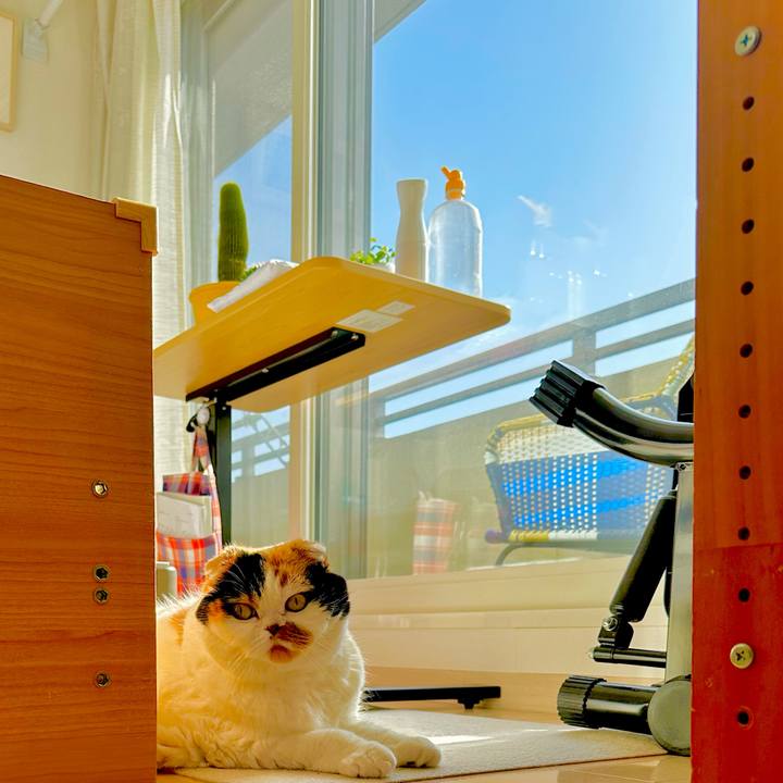 8ac373b0 5583 41d8 b878 2b06f3823d74 1708481551070