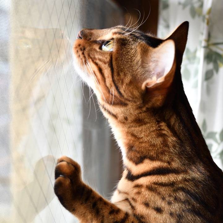 8ac3798a 568f 4e3d 8383 c00b84efb441 1511311935966