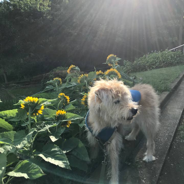 8ac3ade4 7661 49a8 a9b6 f14892600a63 1630548978183