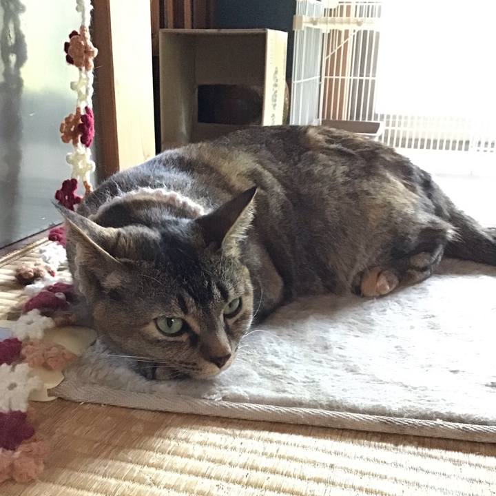 8ac45546 10a1 4bb6 8493 09fcc77ad706 1653203848401