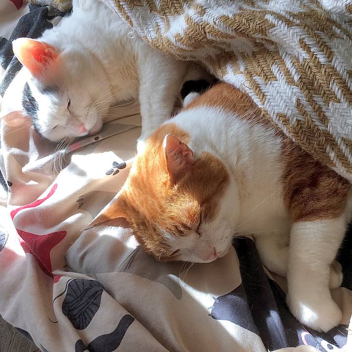 8ac46650 2547 4001 bc5f 689e990b5970 1581574706451