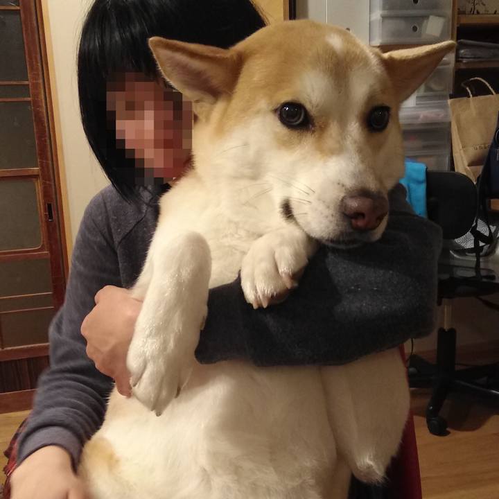 8ac478f5 624a 49b9 b33f ed54162d98da 1552654333962