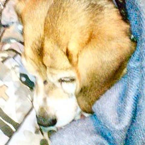 8ac490ae d31e 442c 86cd 582bf473d4c9 1767157610221