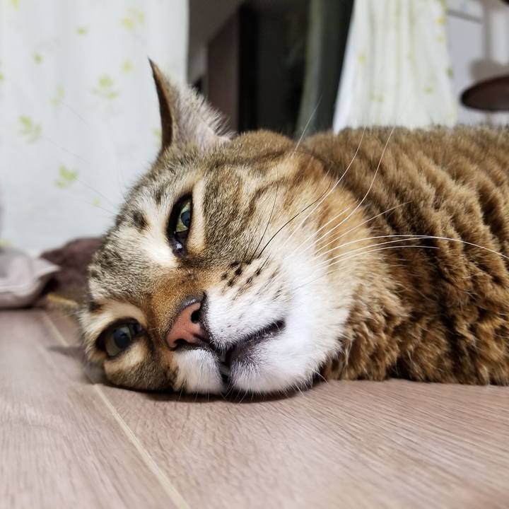 8ac49bea 12de 4af9 b186 b78d55813333 1612729378707