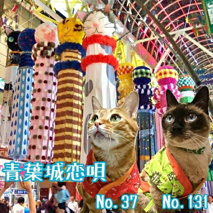 8ac514cd 2270 42d3 9ced 0be43aa8f19c 1530965213240