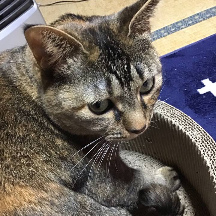 8ac51fbd 82db 47cd 8702 f02c7c99f296 1709892406304