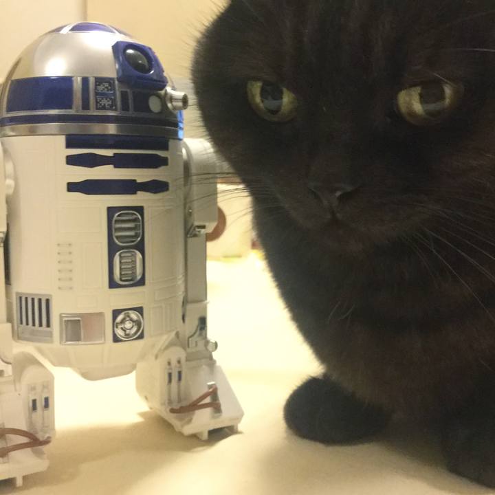 8ac54639 abb7 45bd 9c88 f241779c595d 1508345117663