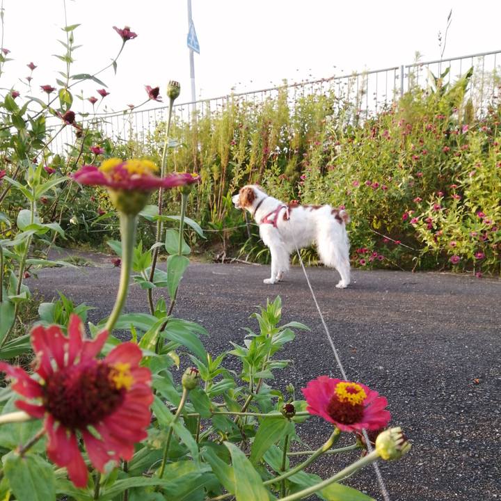 8ac54fd4 ede6 491a b2cb 1a016068a704 1632397159761