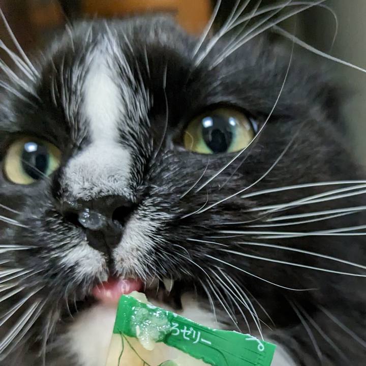 8ac5c075 ff00 4b29 8da6 62be5f2a6b72 1680437633434