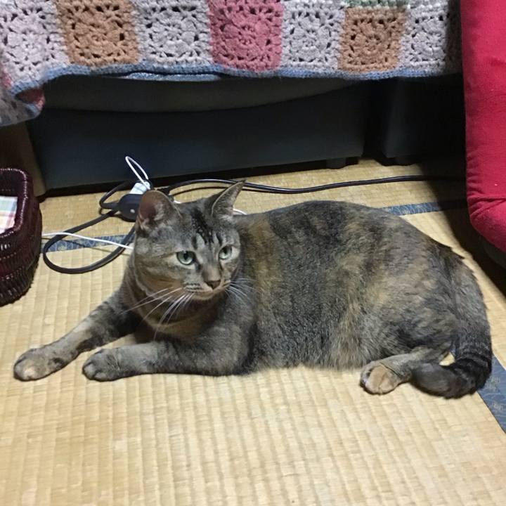 8ac5c905 22d4 4a82 a887 dd809751824d 1694345353015