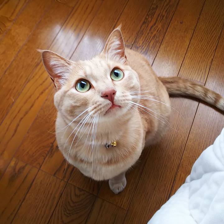 8ac5f5f8 5456 42d5 93c1 81355a4cf9ac 1591879876122