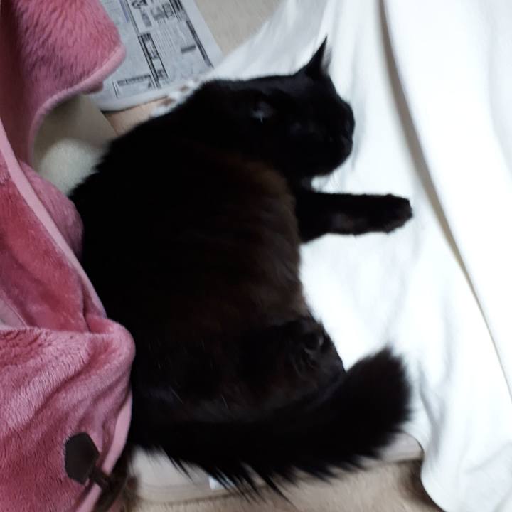 8ac625f3 1706 4b70 95f0 a79fcccace19 1518763918437