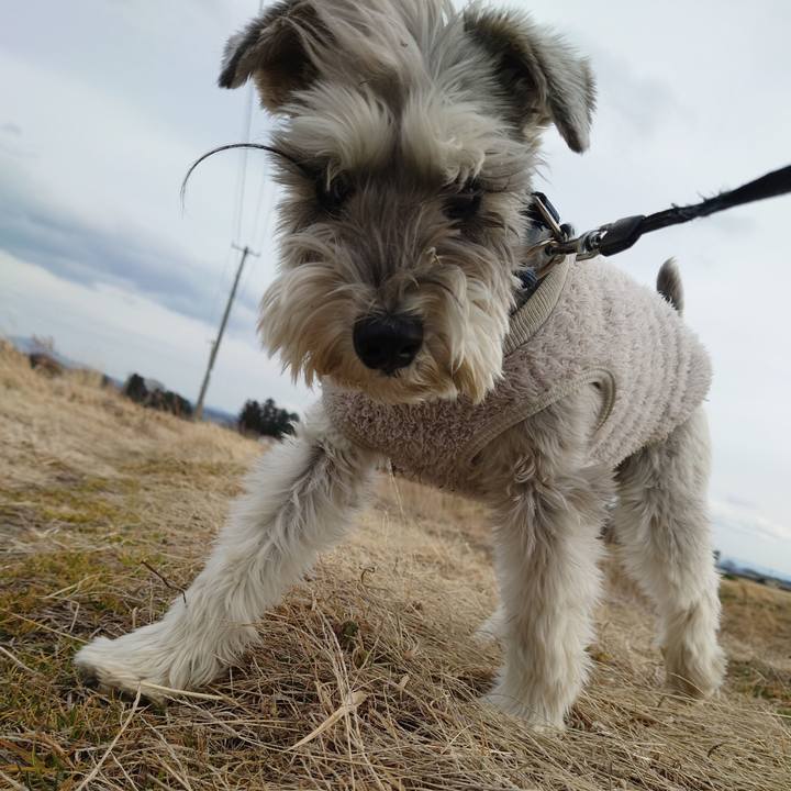 8ac62d5f b0c5 4796 a1c5 b129093e9870 1771238381430