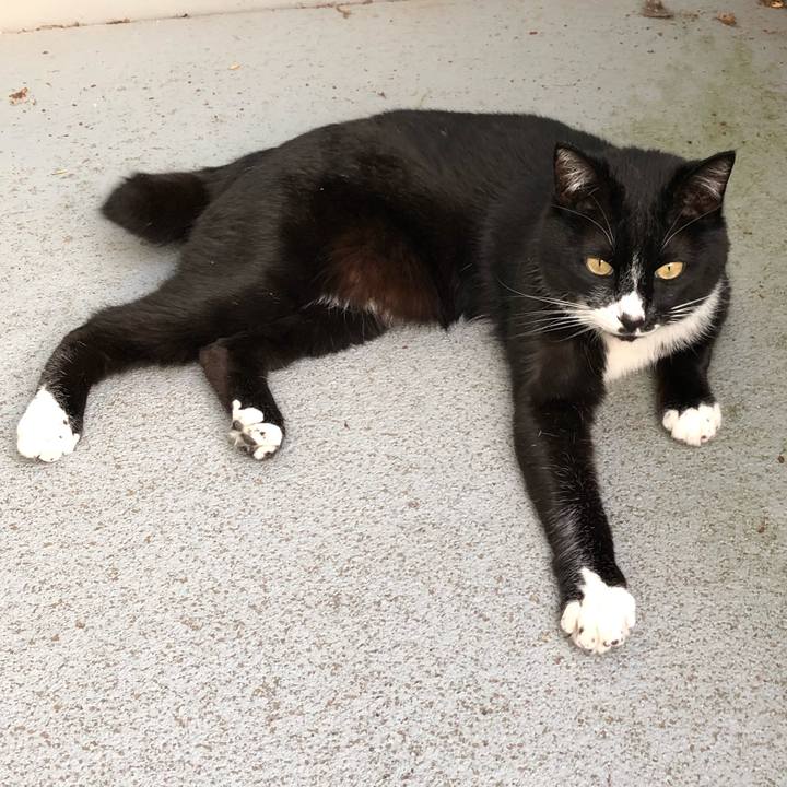 8ac6347f 037b 4349 913f 3ea9599b2609 1589859548949