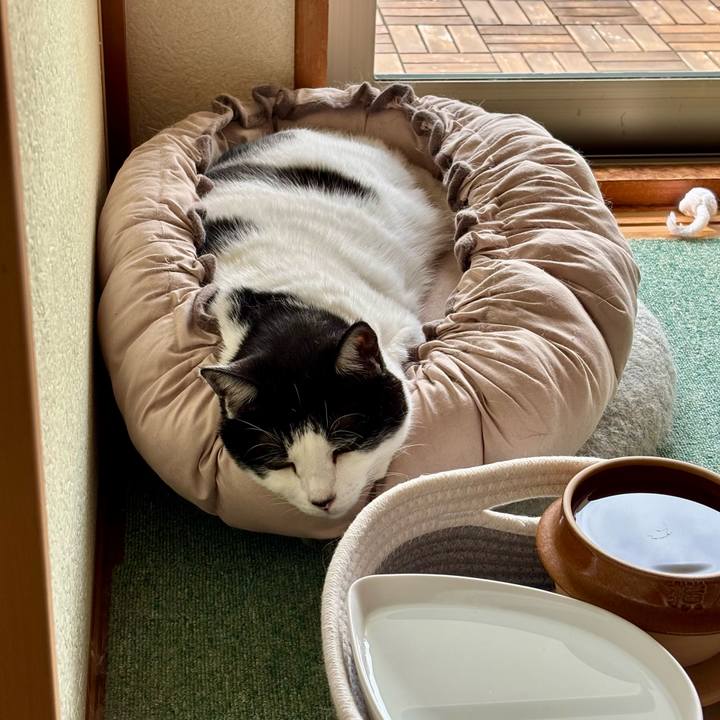 8ac63ed5 99a8 4c2f ba2a 73cfa21fa799 1760165538767