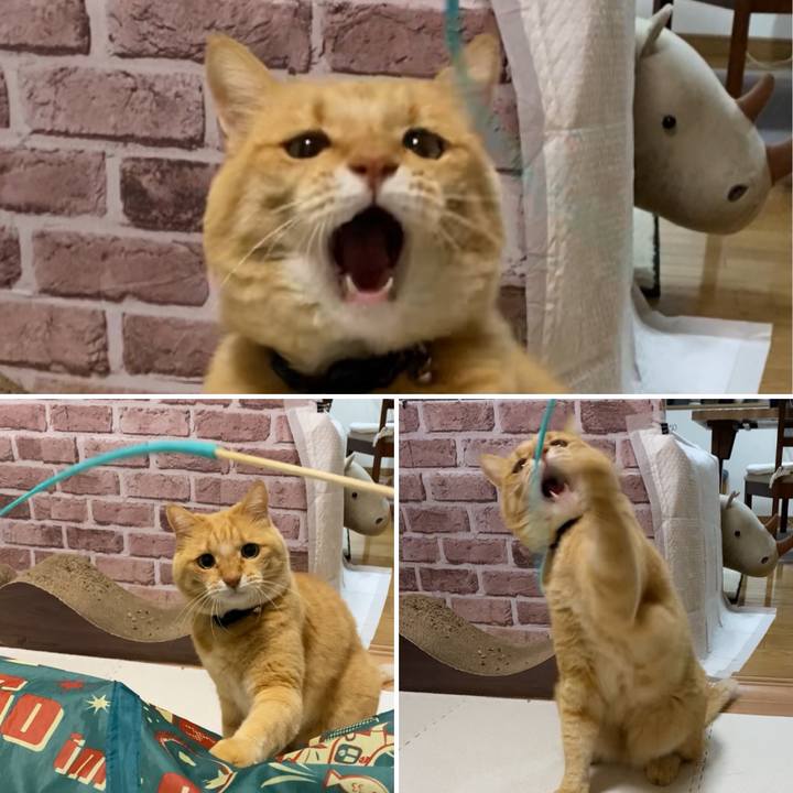 8ac641b3 ec8d 491f 8d4b 2ad2349dcd66 1731057429077