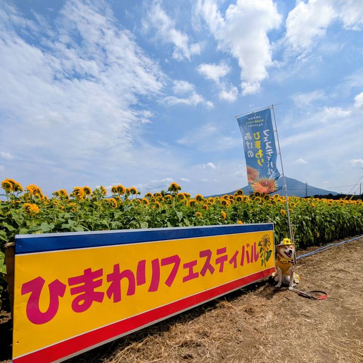 8ac64223 b570 4b95 83df 43ef0cad45fa 1756612702509