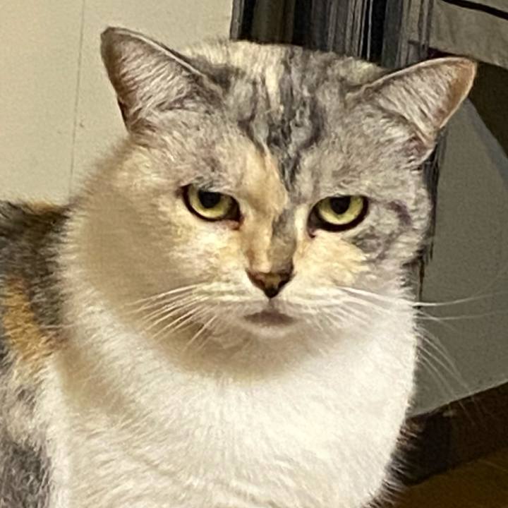 8ac642a9 b524 4bfd 8245 a00ae793d025 1631100949152