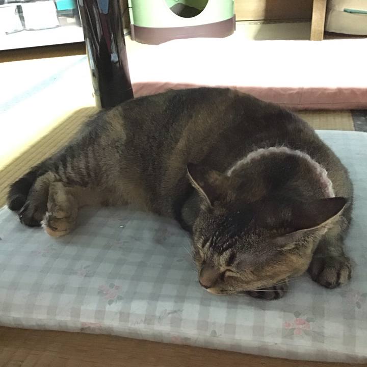 8ac64f65 6bf2 4acb 937b f79e9c4f5de2 1692269670435