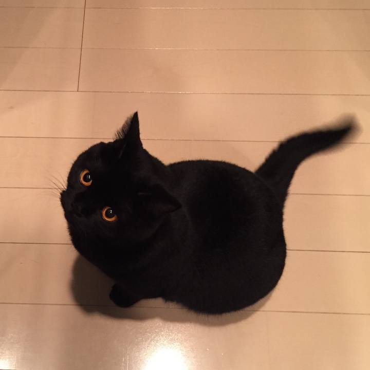 8ac65ec2 11ed 4694 9982 3c2fe7a122d4 1533906000712