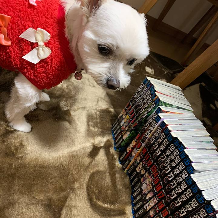 8ac672b1 ea67 4417 a6c7 9935424bcca6 1640418672628