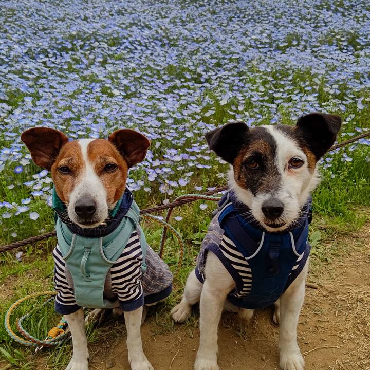 8ac69a98 dd9d 4e08 9814 4ed3ddcf559b 1713589546361