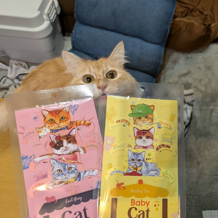 8ac69ecf 8215 4b2f 958f c5103fa4e67e 1730025078162