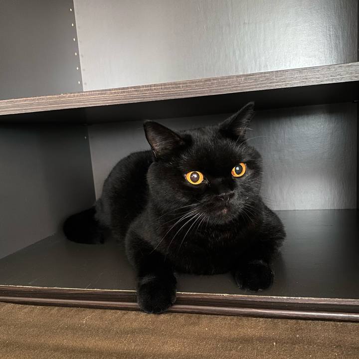 8ac6da3a 4b4e 4ce5 9fec 4e2910b97c6a 1662523409053