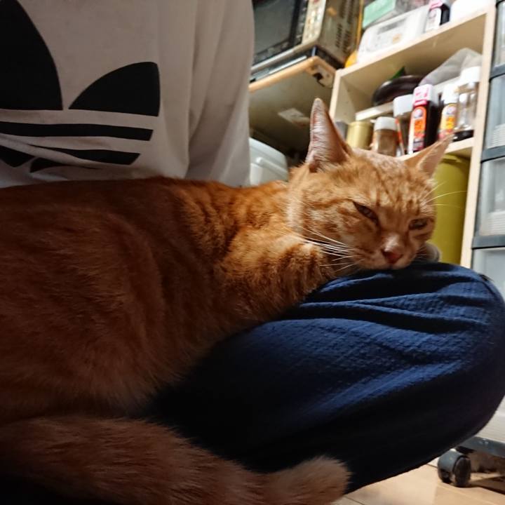 8ac6df99 a637 4555 a56c e0425fec8776 1600765663026