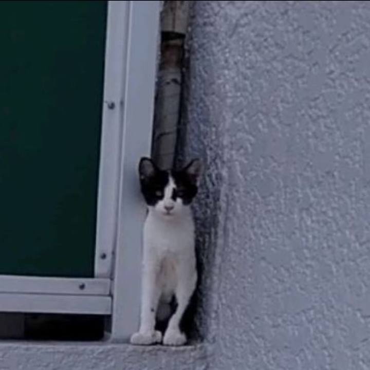 8ac6e683 33ef 4824 aa84 eaa41f926fe6 1630226456705