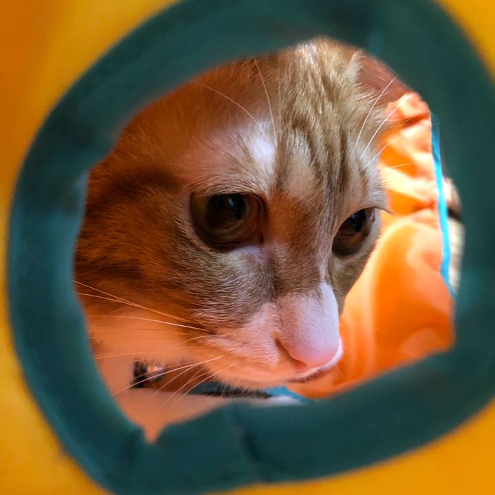 8ac76f1b 4096 4d52 993d 1c356ba3a25a 1586432370496