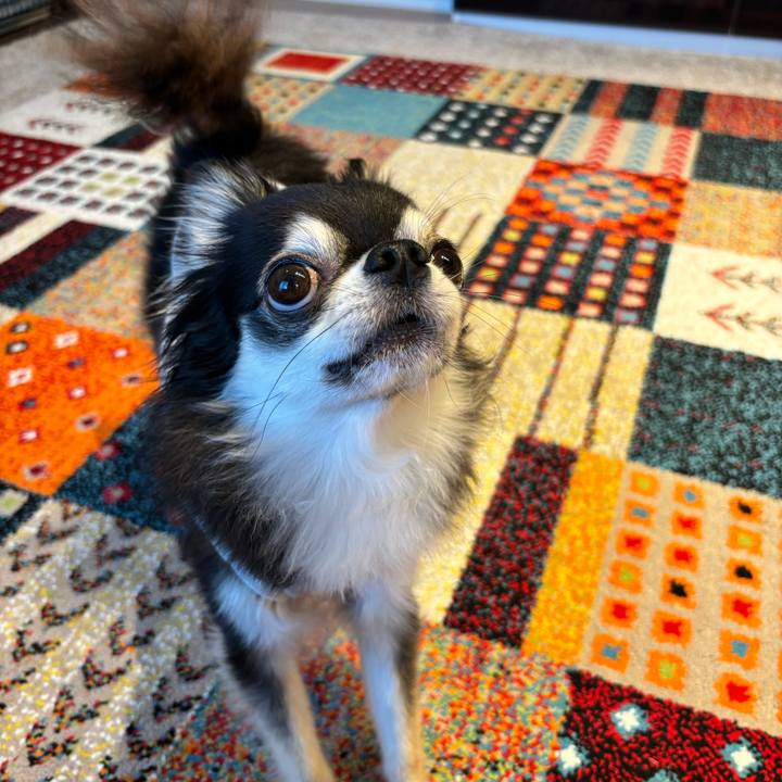 8ac79f9c 16d7 4807 81f8 ff38f3216bf4 1722095287402