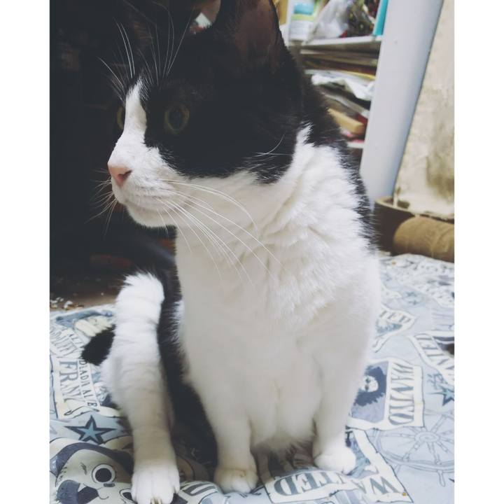 8ac7ea56 704a 4087 adcf 4d1831d14012 1593948786353