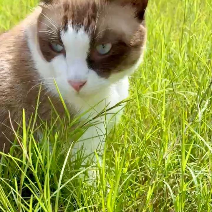 8ac7fa90 2bde 4174 bf93 22eb5b184da9 1758768256677